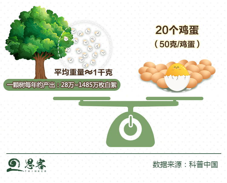 白絮-数理化1(1)