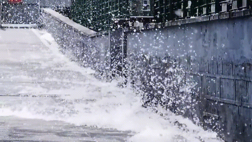 ▲网民拍摄的飞絮。动图来源：抖音@赖伟强呀