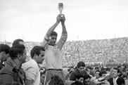 1962年第7届世界杯