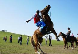 甘肃临夏：马术成为助力乡村振兴新产业