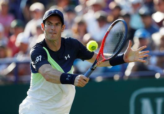 穆雷接受髋关节手术