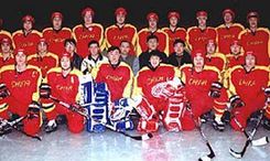领队：中国男子冰球或无缘北京冬奥