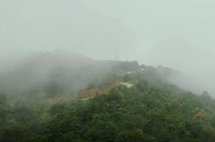 清明时节雨纷纷 专家预报:这几个地方除外