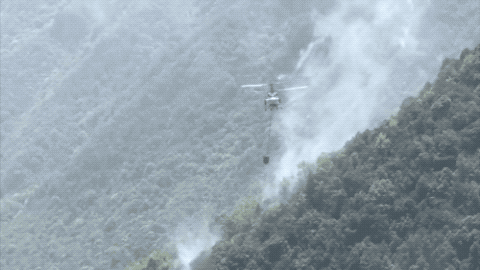 最新！四川冕宁森林火灾持续5天，已扑灭火线53.2公里