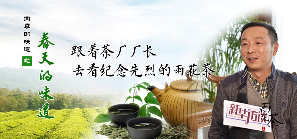 跟着茶厂厂长去看纪念先烈的雨花茶