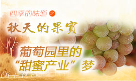 葡萄园里的&ldquo;甜蜜产业&rdquo;梦