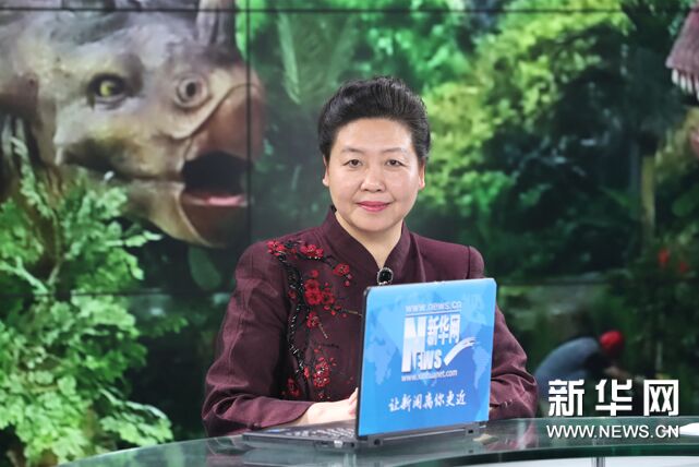 《远去的恐龙》是&ldquo;十年磨一剑&rdquo;的成果