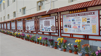 顾泮伟：让&ldquo;花村&rdquo;靓起来 村民腰包鼓起来