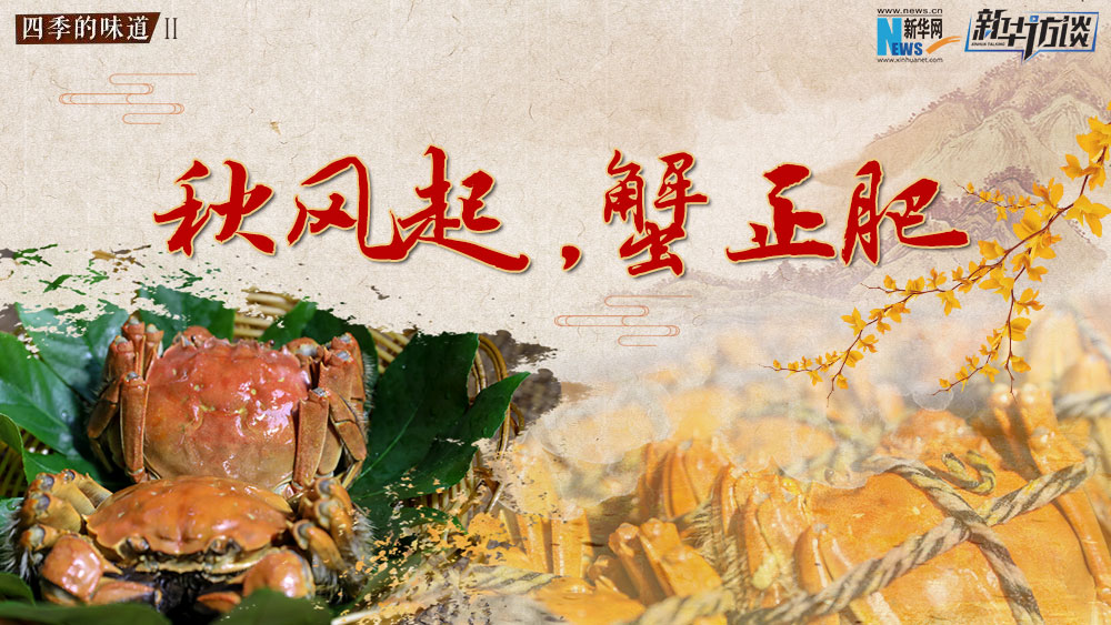 秋风起，蟹正肥