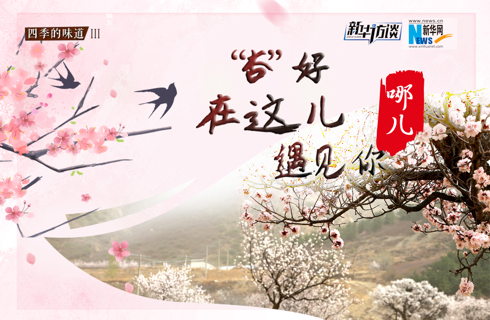 哪儿？“杏”好在这儿遇见你！