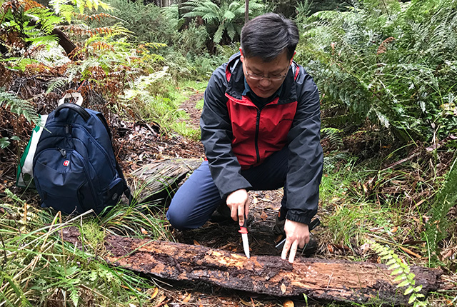 由于受人为干扰、栖息地改变、全球变暖、过度开发等影响，野外有很多真菌资源受到不同程度的破坏和威胁，目前有一部分真菌已被列为&ldquo;濒危&rdquo;种或&ldquo;易危&rdquo;种。
