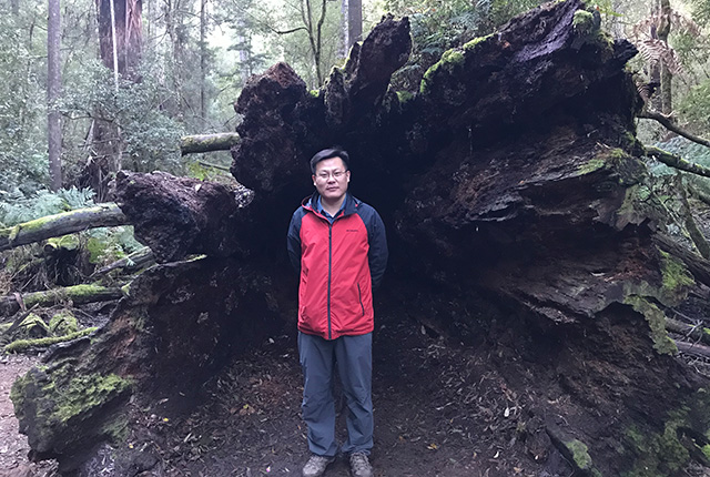 真菌群落特征多种多样，各种生态环境（包括一些极端环境）和微环境都有真菌的生长，包括腐生、寄生、共生等。