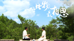 花好月圆夜 以茶话相思