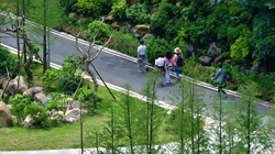 逛城市绿道 享绿色生活