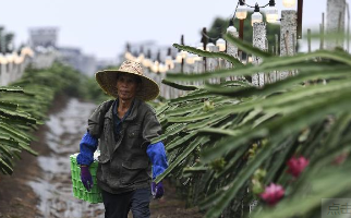 高质量打赢脱贫攻坚战