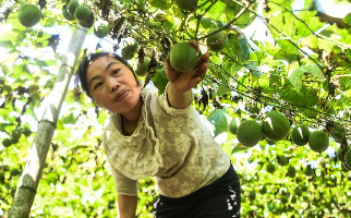 一鼓作气，打赢脱贫攻坚战——写在第六个国家扶贫日
