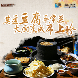 莫道豆腐平常菜，大厨烹成席上珍