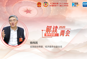 杨伟民：没有确切的增长目标符合实际 以扩大就业带动经济增长