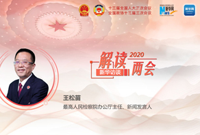 王松苗解读最高人民检察院工作报告