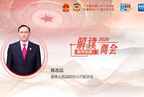 陈志远解读最高人民法院工作报告