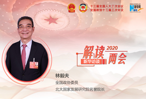 林毅夫：不设定GDP增长目标是实事求是的做法