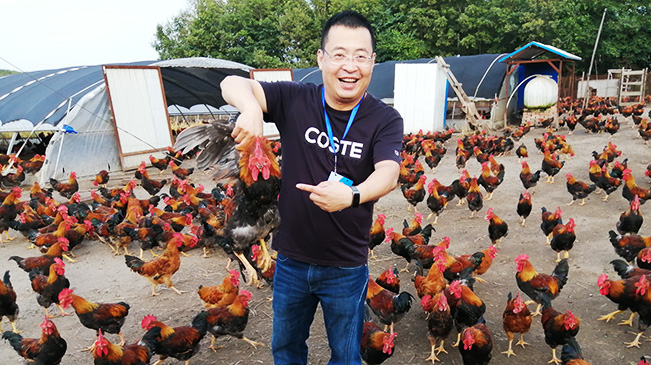 &ldquo;金鸡&rdquo;报晓迎来幸福生活