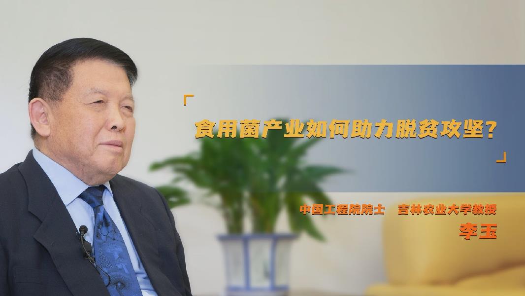 食用菌作为脱贫攻坚的首选，真正达到了获取全胜的结果。