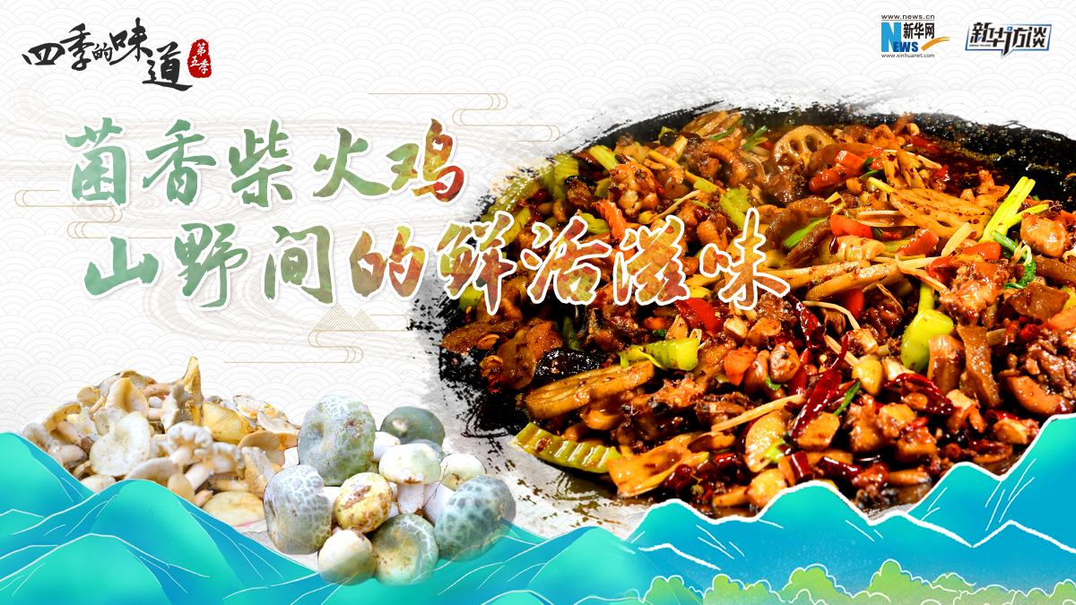 菌香柴火鸡：山野间的鲜活滋味