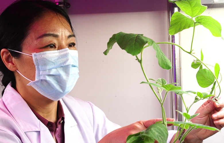 把好技术带到田间地头