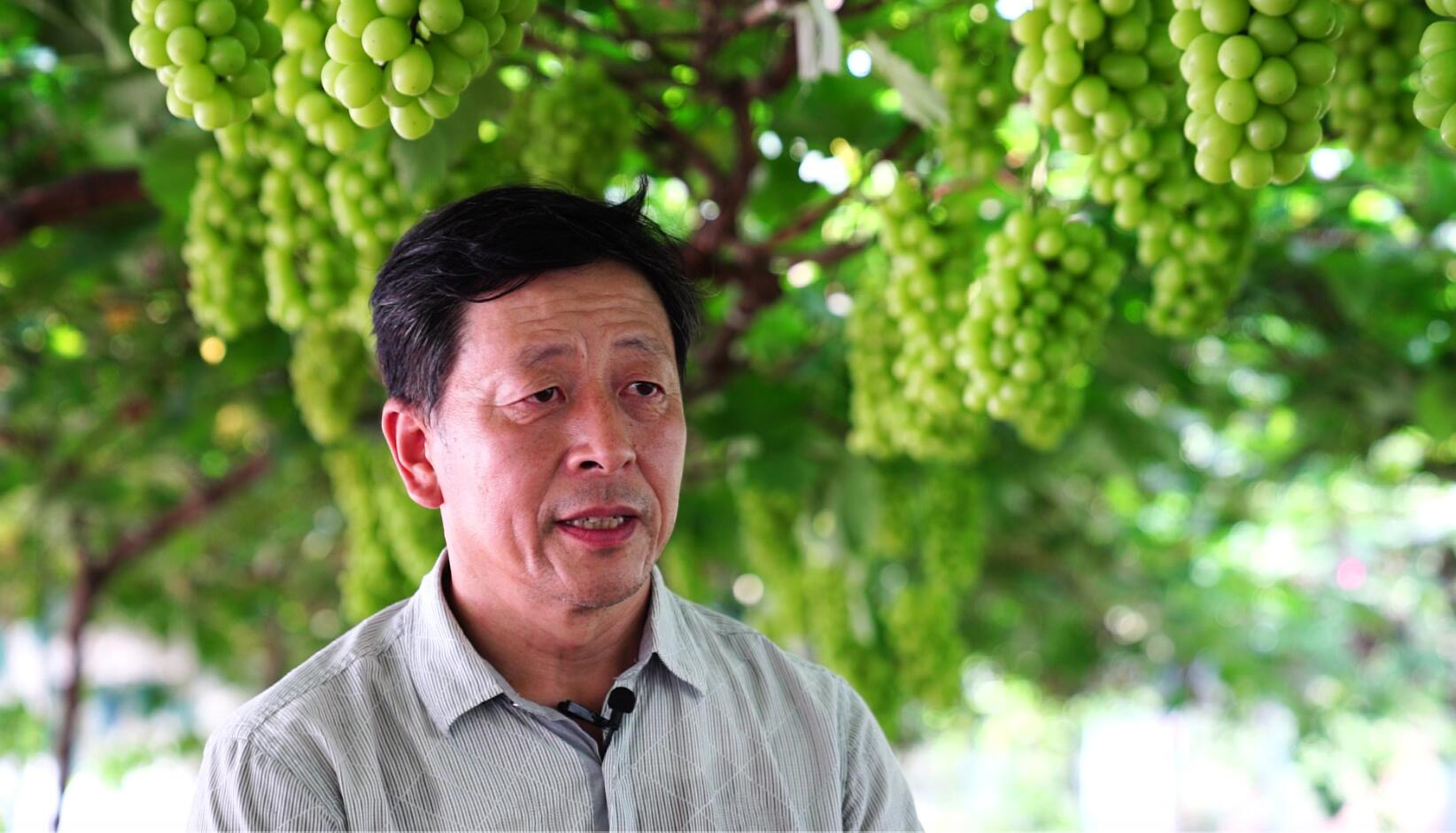 &ldquo;走心&rdquo;服务结出振兴&ldquo;硕果&rdquo;