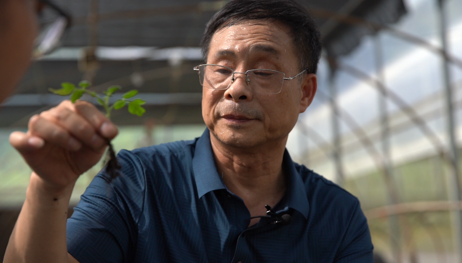 脚下的泥土与深情