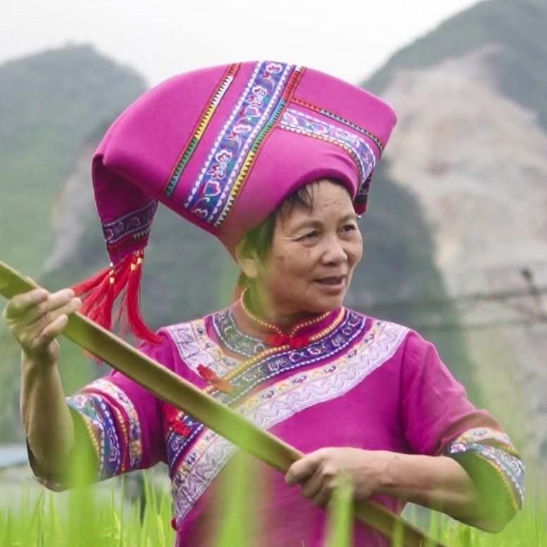 壮族&ldquo;打鲁列&rdquo; 打出幸福来