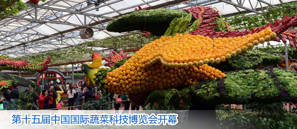 第十五届中国国际蔬菜科技博览会开幕(组图)