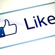 &ldquo;集赞&rdquo;藏猫腻