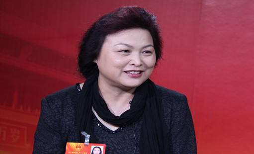 王凤英：到2015年长城研发投入80亿