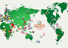 图解：百年青啤 征服世界