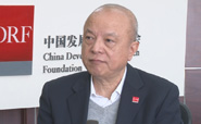 中国发展研究基金会秘书长卢迈