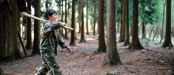 森林"休养"在即 国内森工企业"思变"