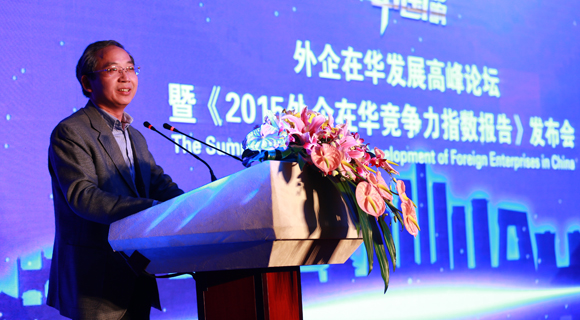 中央财经大学王瑞华：跨国公司需应对经济新常态的挑战