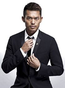 羽毛球奥运冠军林丹