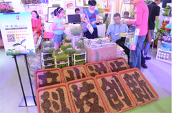 惠民项目农科城