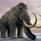 猛犸象伤痕将人类进入北极时间推前1万年