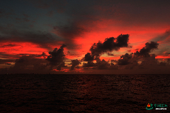 美到窒息！看完這組圖後，你的內存還夠用麼？