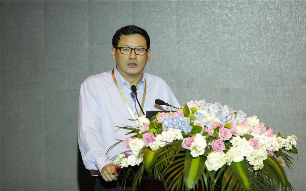 工信部工业品牌培育专家组组长周宏宁致辞