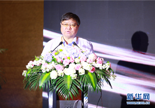 中国广告协会会长张国华