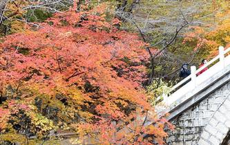 紅葉&ldquo;鬧&rdquo;金秋