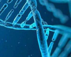 有没有一枝花曲谱(2)