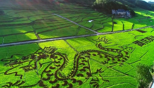 代表中国、享誉世界 五粮液入选&ldquo;中欧地理标志产品清单&rdquo;