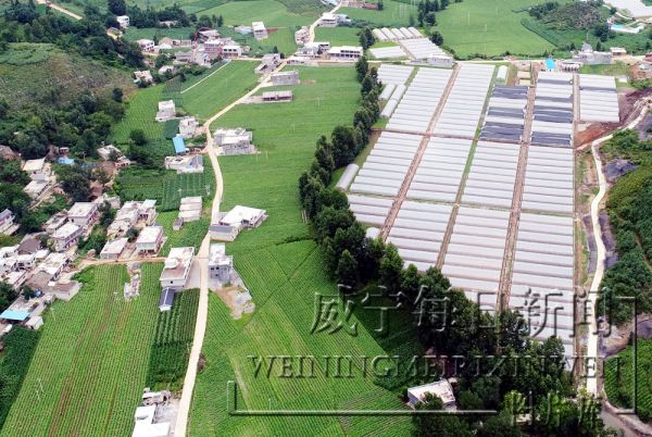 恒大集团帮扶威宁农业产业发展一瞰