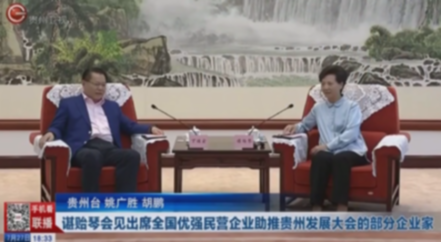 谌贻琴会见出席全国优强民营企业助推贵州发展大会的部分企业家